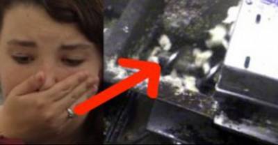 Warning Graphic: This Secretly Recorded Footage Will Make You Lose Your Appetite Forever. But We Can Stop It.