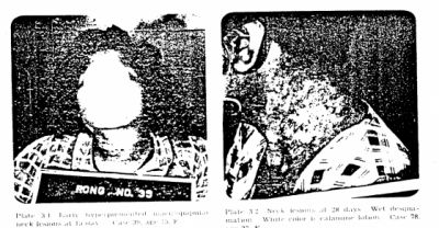 10 Of The Most Evil Human Experiments Ever