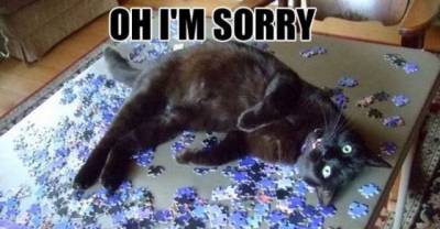 12 Problems That Are Too Real For Cat Owners