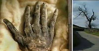 Do You Believe In Magic? You Won't Believe What This Ancient Mummified Hand Can Do.