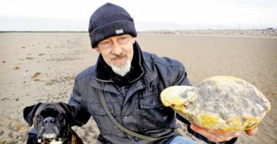 Attention: Whale Vomit Can Make You Rich!