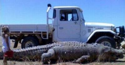 Australia: Not Even Once