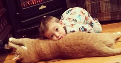 &lsquo;Unwanted&rsquo; Ginger Cat Becomes Guardian To Boy, His Human For Life!