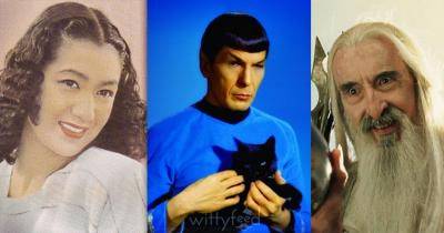 14 Beloved Stars We Lost In 2015
