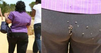 Funny Pics You&rsquo;ll Wish You Never Saw