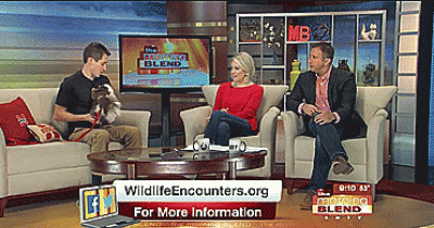 The Most Painfully Awkward Things That Happened On TV In 2015