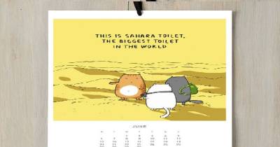 This Person Created A Cat Calendar To Make You Smile All Year Round In 2016