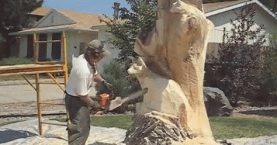 Meet The Edward Scissorhands Of Tree Stumps