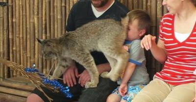 14 Times Zoo Animals Decided They Gave No F#%&$