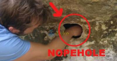 This Man Stuck His Hand In A Spider Hole, And What Happened Next Is Full Of NOPE