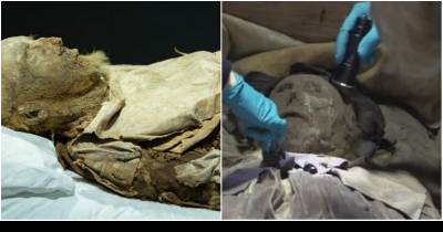 Omg! Scientists Opened The Coffin Of A Bishop And They Found This