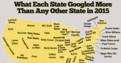 This Is What People In Your State Googled Most In 2015