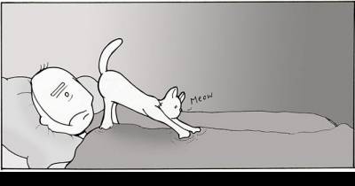 Life With Cats By Lunarbaboon