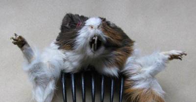 13 WTF Pictures That Will Totally Shock You