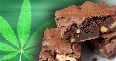Elementary School Teachers Ate Pot-Laced Brownies Left In Lounge