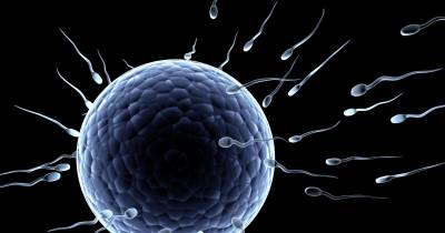 9 Scientifically Proven Facts About Female Eggs You Must Know