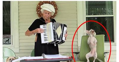 Dog Does The Funniest Thing When His Owner Plays The Accordion
