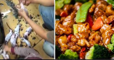Chinese Cooks Laugh Heartily As They Skin And Cook Rats