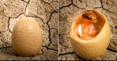 Hatching Dinosaur Candle Lets You Breed Tiny Raptors At Home