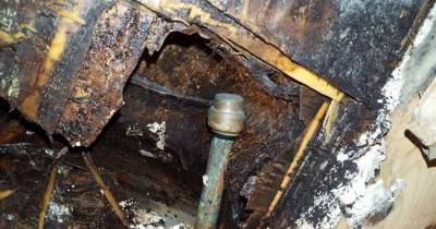 They Thought It Was Just A Leak, But Something Very Creepy Was Growing In Their Kitchen