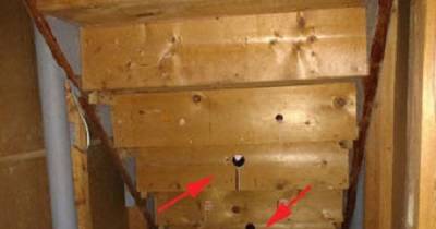 They Discovered Something Bizarre While They Were House Hunting One Day