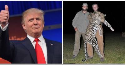 Just In Case You Forgot: Donald Trump's Sons Are Ruthless Big Game Hunters