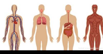 5 Type Of Body Pain You Should NEVER Ignore