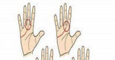 Did You Know That Your Palm Lines Can Reveal A Lot About Your Love Life..?