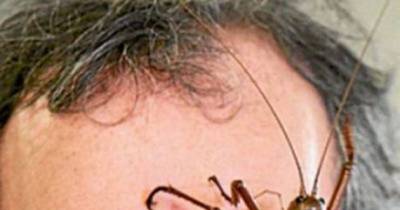 16 Shocking Pictures That Will Give You A Heart Attack