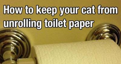 Essential Life Hacks That No One Should Have To Live Without