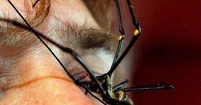 24 Pictures That Perfectly Exemplify The Word "NOPE.