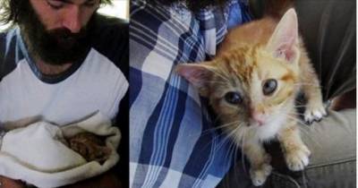 Young Man Saves Kitten On The Road And Raises Him Like His Own. Now All Grown Up!
