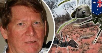 Australian Man Survives 6 Days In The Desert By Eating Ants