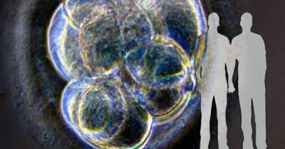 Wtf! Science Has Developed A Way Gay Couples Can Have Their Own "Biological" Children.