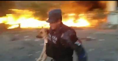 Policeman Risks His Life To Save Dog Trapped By Raging Fire