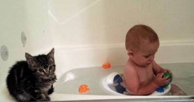 Kitty Won&rsquo;t Leave Her Baby Brother&rsquo;s Side, Then And Now