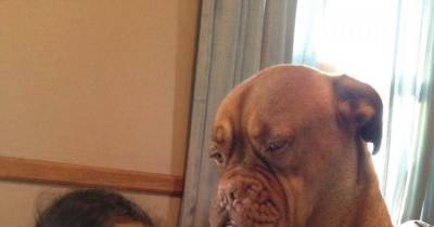 Pictures That Will Make You Want To Own A Pet !