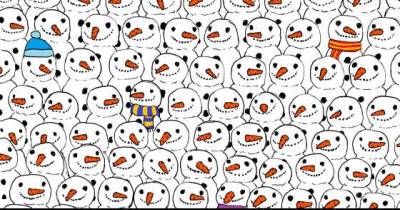 Can You Spot The Hidden Panda? It's Harder Than You Might Imagine