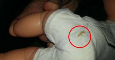 Mom's Horror As Child's Doll Started Dripping Live Maggots