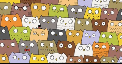 Can You Find The Cat In The Infuriating Sequel To The &lsquo;Find The Panda&rsquo; Puzzle?