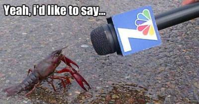 18 Phrases You Should Never Ever Search On Google Images