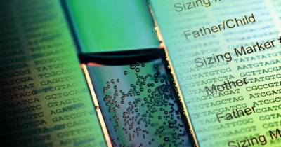 Man Fails Paternity Test Because His Unborn Brother Is The Father Of His Child