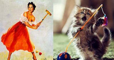 Pinup Cats. MeeeOW! This Is Hilarious