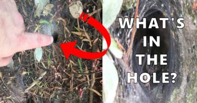 He Stuck His Finger In This Strange Hole... And It Turned Out To Be A Huge Mistake.