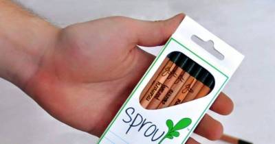Once The Pencil Is Too Short To Draw With, You Stick It In The Ground And Plant A Tree!