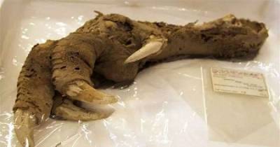 The Craziest Things Ever Discovered On Planet Earth