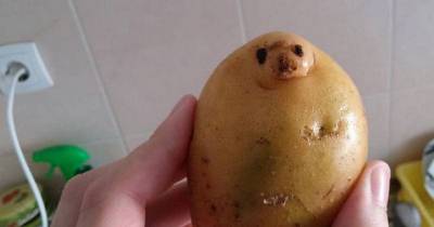 23 Of The Most Freaky And Funny Pics