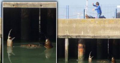 You Won&rsquo;t Believe What they Found On Google Maps. Creepy.