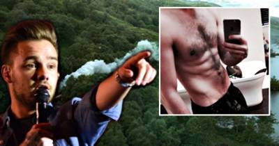 Liam Payne&rsquo;s Shirtless Selfie Is Causing Mass Hysteria Online
