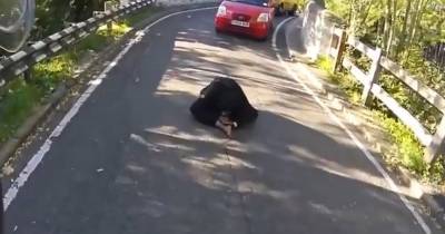 Watch Biker Screaming At Drivers For Assistance After Spotting 'Suicidal' Woman Sitting In Road
